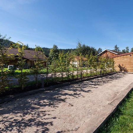 Chalet Du Bien-Etre 15P. Piscine,Spa, Hammam,Petanque,Basket Gerardmer Ngoại thất bức ảnh
